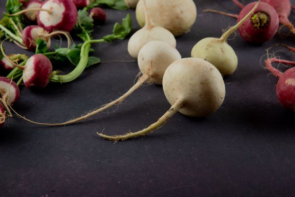 Maca root extract